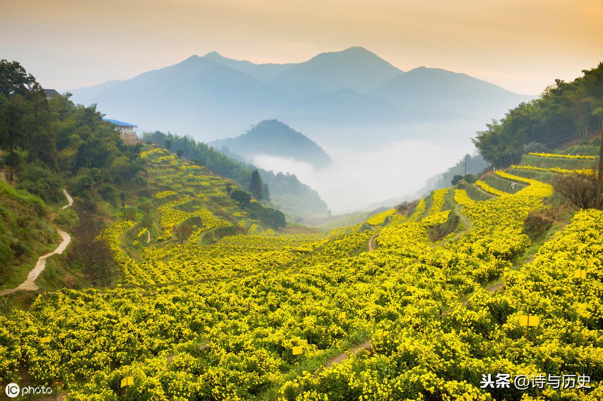 最新重阳节对联与传统文化的传承