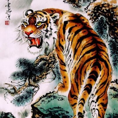 最新版四虎，探索与解析