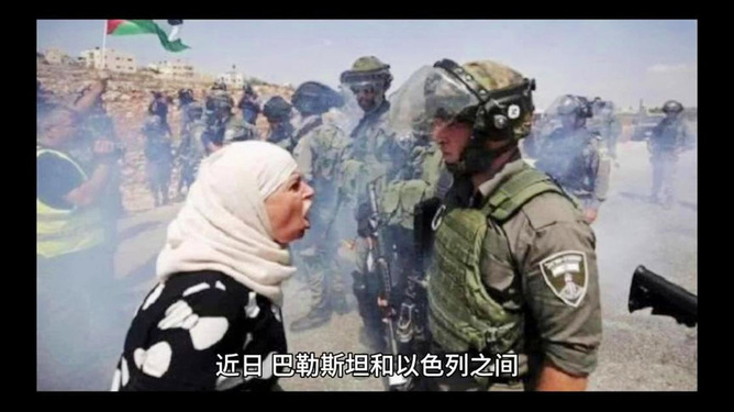 第3667页