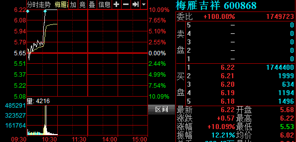 梅雁吉祥最新价，探索企业价值与市场动态