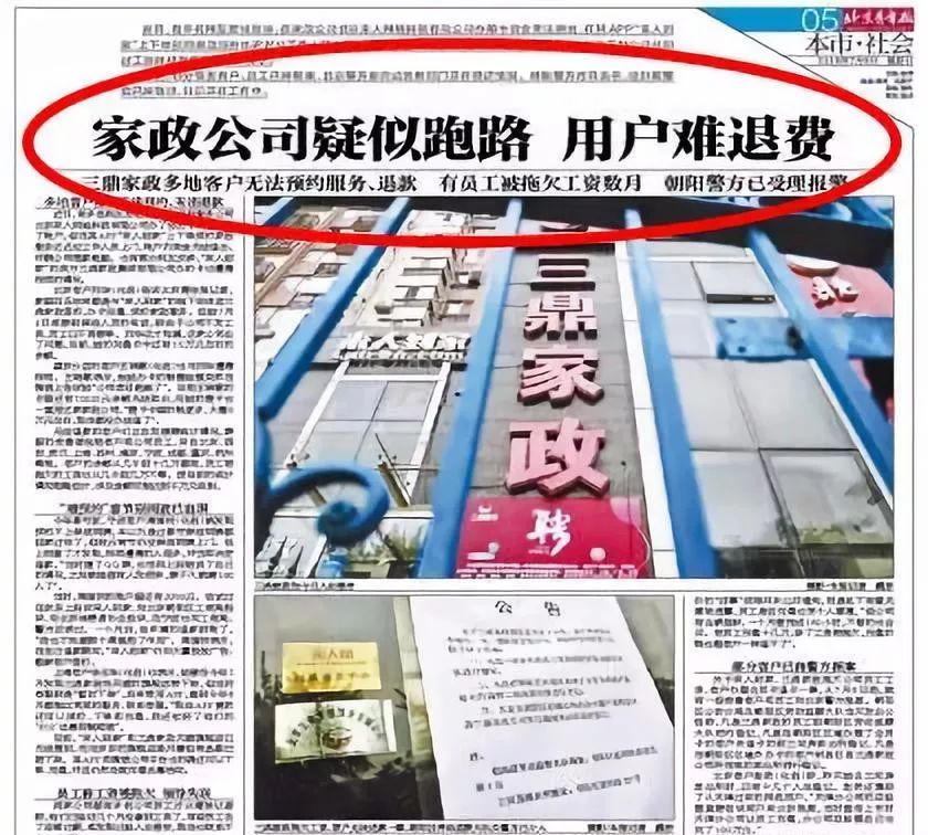 三鼎家政最新动态，创新服务、质量提升与行业发展的融合之路