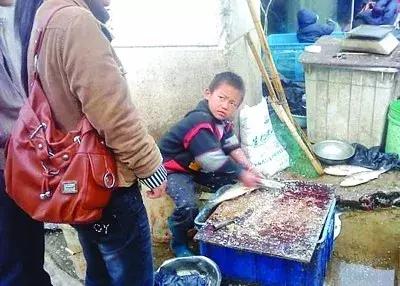 卖鱼弟最新报道，励志少年的奋斗与成长