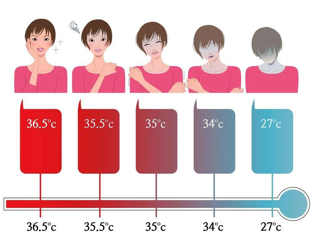 最新体温偏低的探究