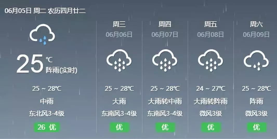 最新台风登陆阳江，影响与应对措施