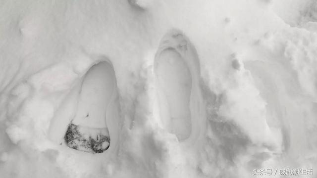 雪最新消息，一场自然奇迹的深入解析