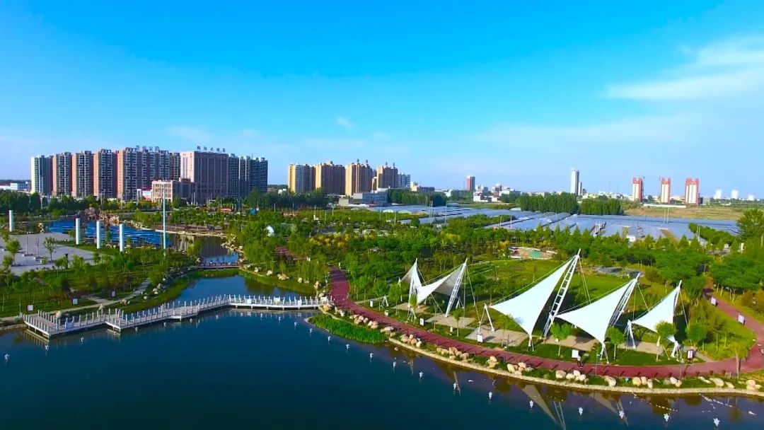 衡水市最新发展动态，迈向现代化城市的步伐稳健前行