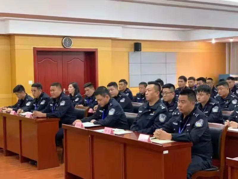 上海疫情最新数据国内，全面分析与展望