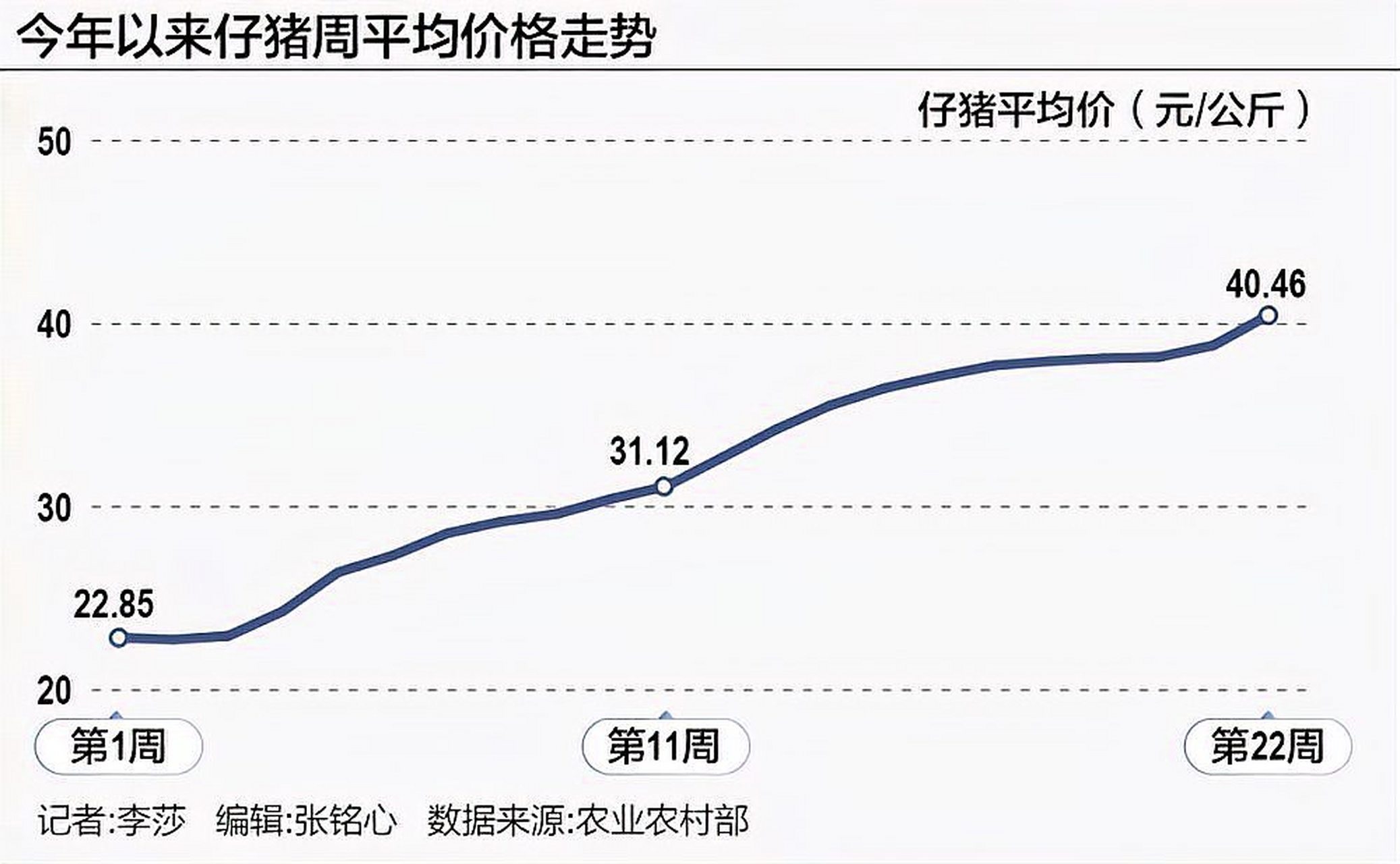 明天猪价格最新价格分析与预测