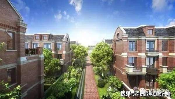 玖富悟空最新通知深度解析