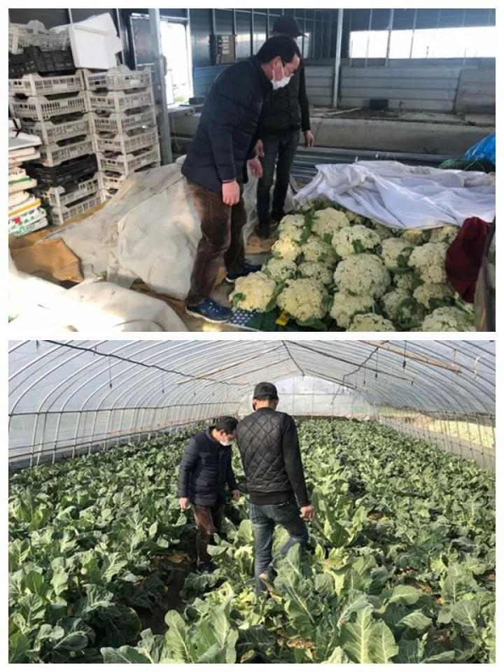 浙江全国疫情最新数据，全面分析当前形势与应对策略