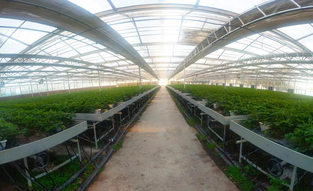 康保最新消息全面解读