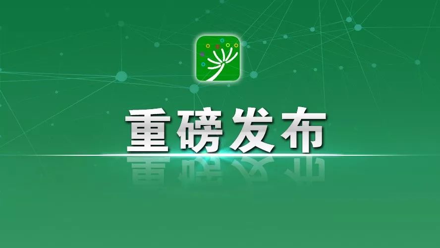 国家医保局通知最新动态，深化医保改革，优化服务体验