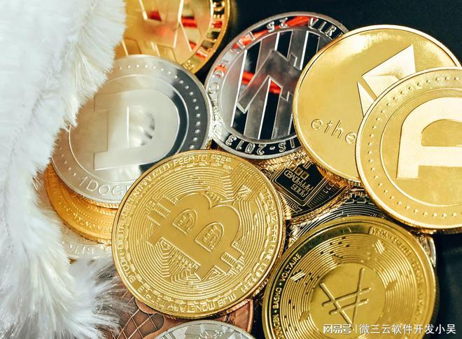 大零币最新价格，市场走势与未来展望