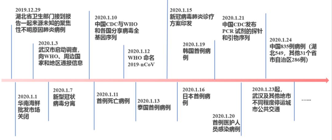 中国新增肺炎最新疫情，挑战与应对策略
