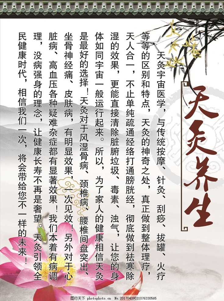 最新天天养生理念与实践