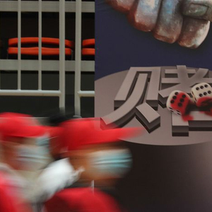 网赌最新事件，揭示网络赌博的危害与打击力度