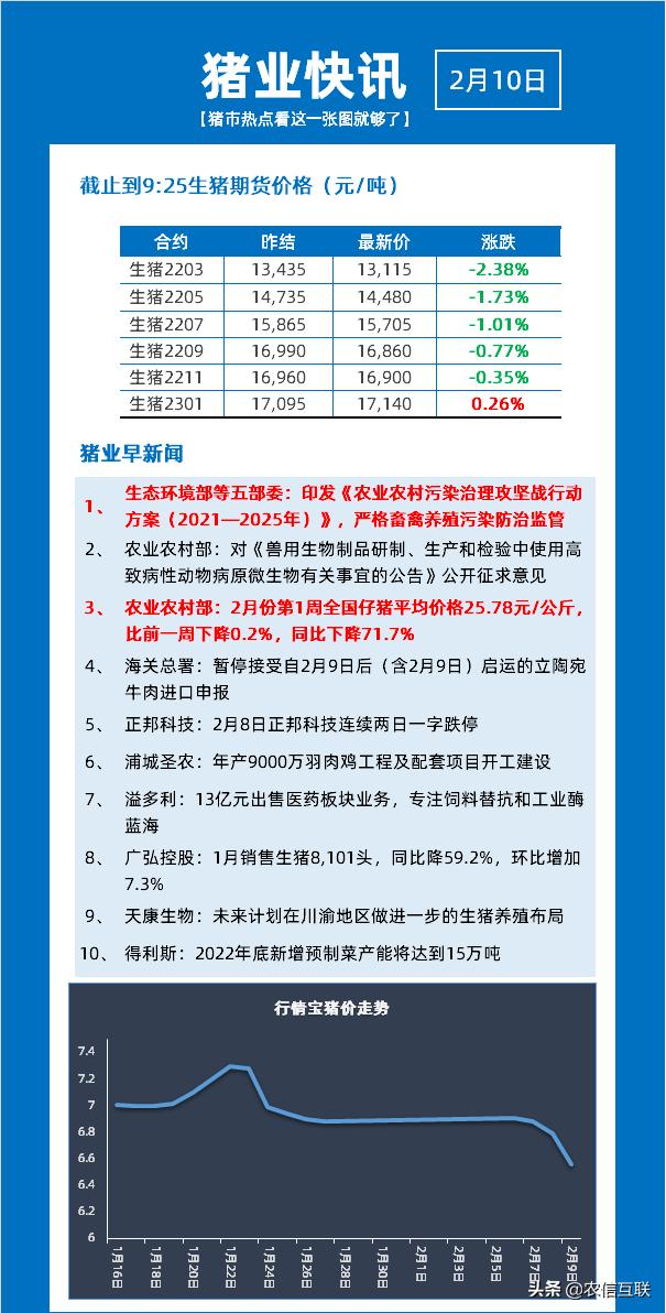 全国猪价最新价动态及分析