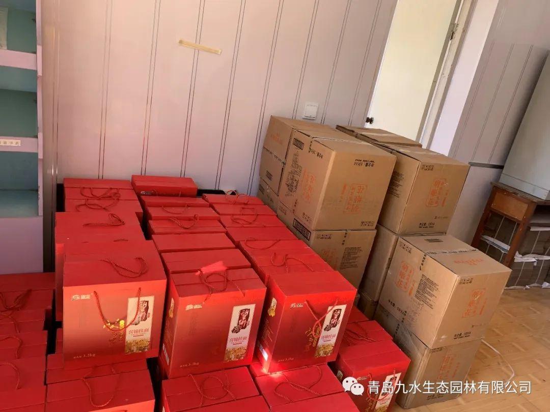 山东青岛最新疫情发布，全面应对，守护家园安宁