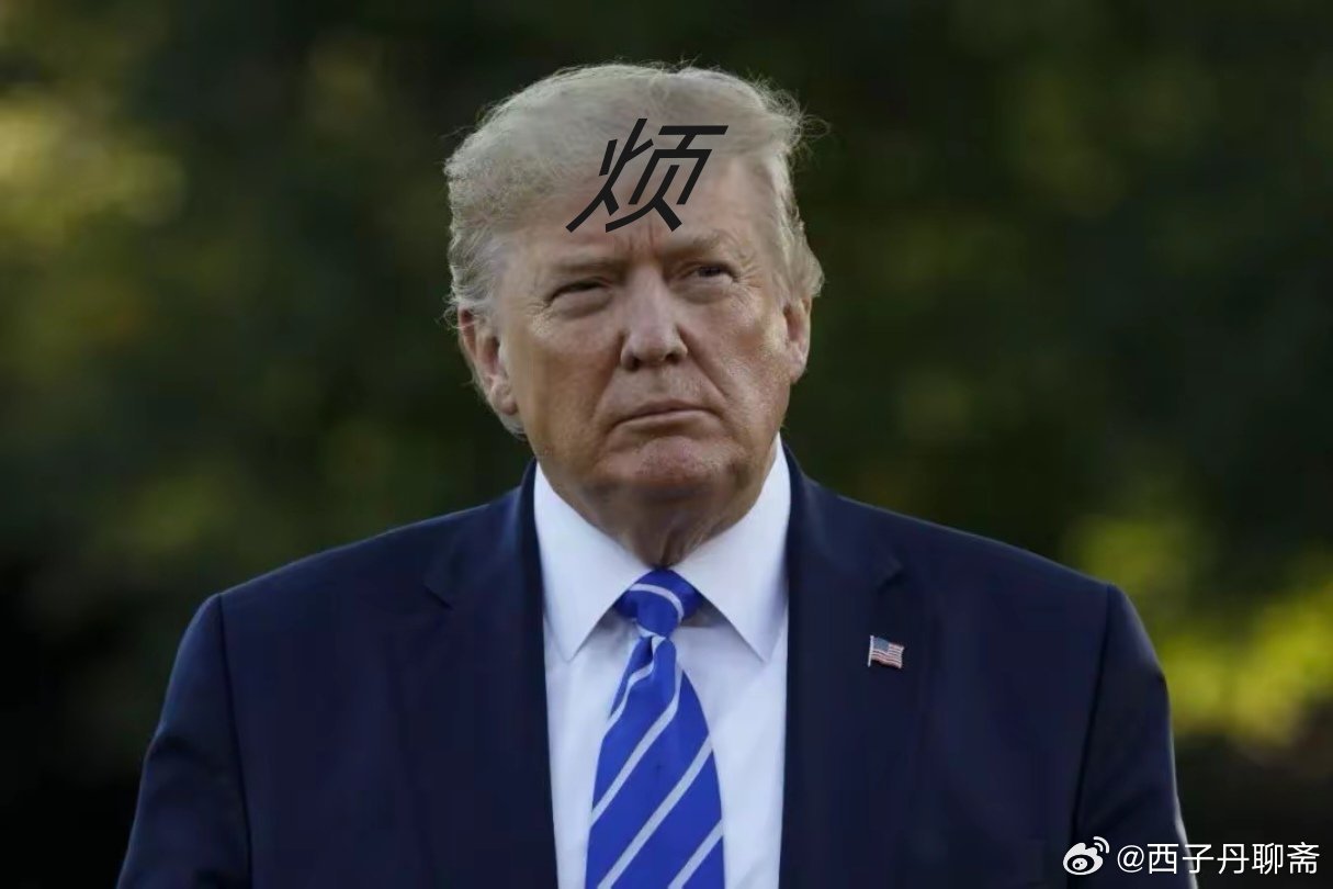 特朗普支持最新动向，探究背后的原因与影响