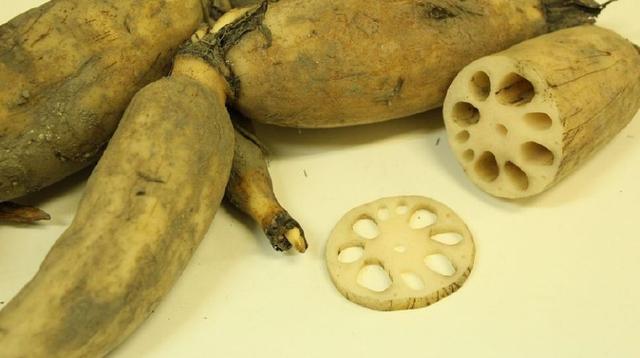 铁虫高肉最新，探索未来食品的新领域