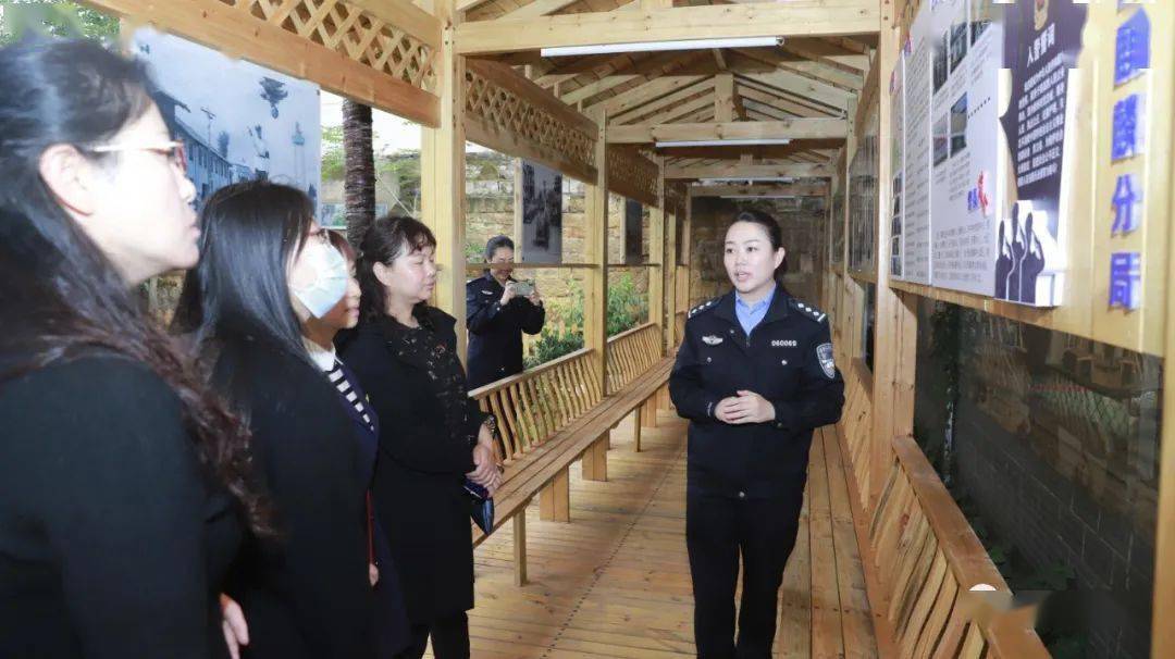 肺炎疫情最新动态，全球防控形势与应对策略的调整和发展