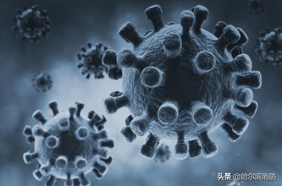 冦状病毒最新通报，全球疫情动态与应对策略
