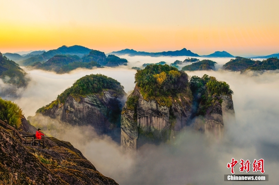 最新武夷山新闻，探索自然美景与文化底蕴的交融之地