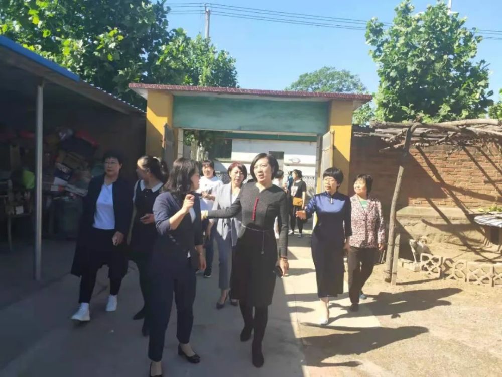 师弟最新消息，学术成就与个人成长的新篇章